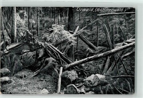 Vcelná pod Boubinem Waldwildnis Urwald Böhmerwald Ort lt. Recherche