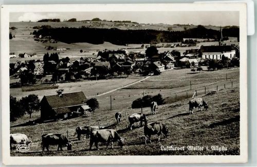 Weiler Kühe Feldpost WK II