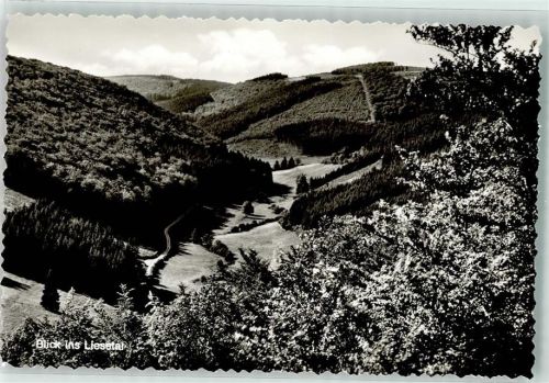 Liesen Liesetal