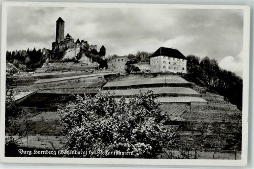 74865 W6951 Neckarzimmern - Burg Hornberg Götzenburg