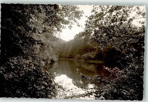 Neheim-Hüsten Foto Original aus Archiv eines Ansichtskartenverlag Teich im Wald Ort handschriftlich