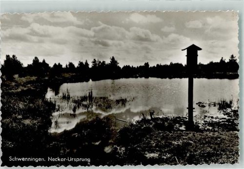 Schwenningen Neckar Ursprung