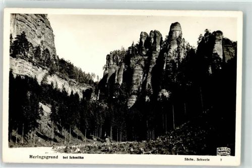 Schmilka Heringsgrund Foto Seidel