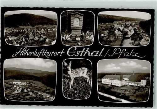 67466 W6731 Esthal Foto AK Rehkitz Kloster St. Maria Kreuzspazierweg