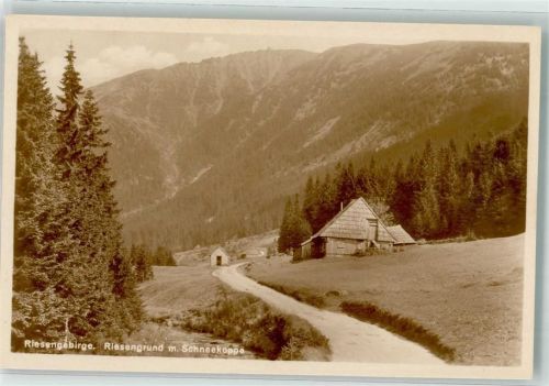 Riesengebirge Riesengrund Schneekoppe