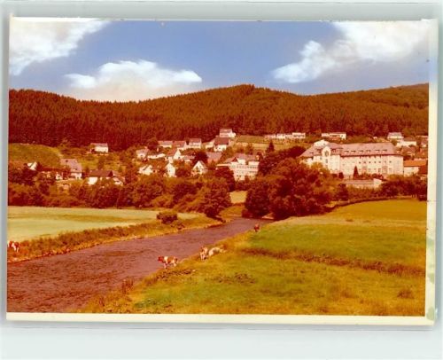 59755 W5760 Oeventrop , Sauerland FOTO KEINE AK Kühe Ort handschriftlich