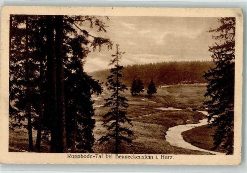 Benneckenstein 1925 Rappodetal