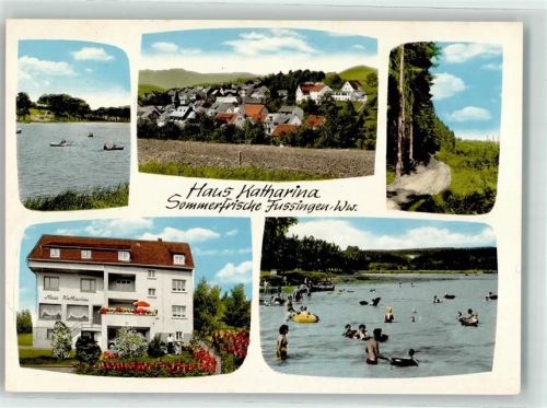 Fussingen Haus Katharina Sommerfrische See Ruderboot Bademode Waldweg Blumen Stückzahlkarte