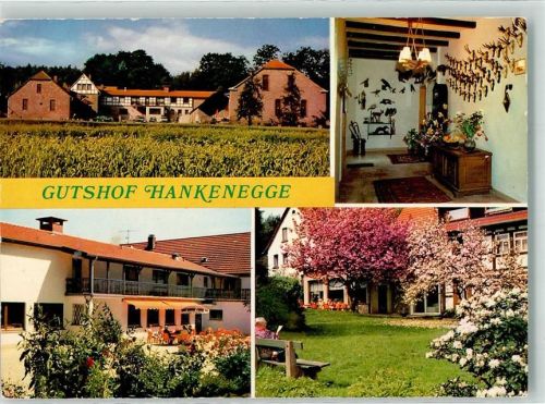 Kalletal Gutshof Hankenegge Baumblüte Bank Terrasse Geweih Kommode