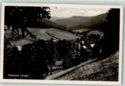 Wildenthal 1936