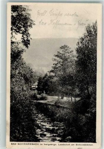 Bad Schwarzbach 1926 Am Birkenwädlchen