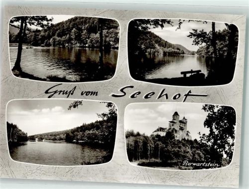Erlenbach Seehofweiher Burg Berwartstein