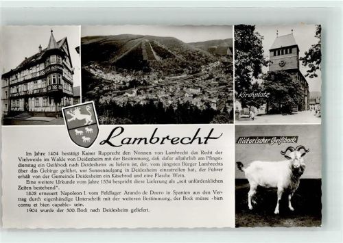 Lambrecht Zollhaus Klosterkirche St. Lambrecht Geißbock mit Chronik