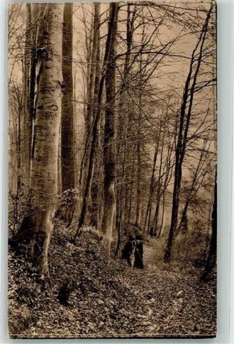 Oudergem Freundeskreis des Waldes von Soignes