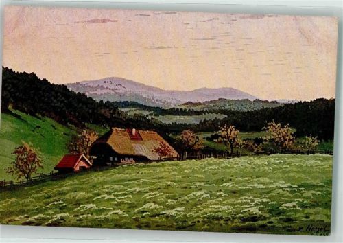Ein im Tal liegendes einsames Schwarzwaldhaus in herbstlicher Umgebung Verlag Geschwister Moos Serie VI No. 17