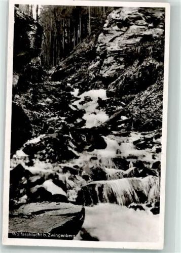 Zwingenberg Wolfsschlucht Foto AK