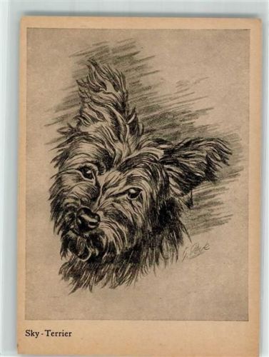 Sky Terrier