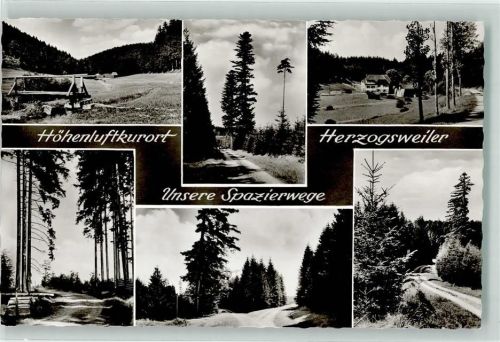 Herzogsweiler Spazierwege