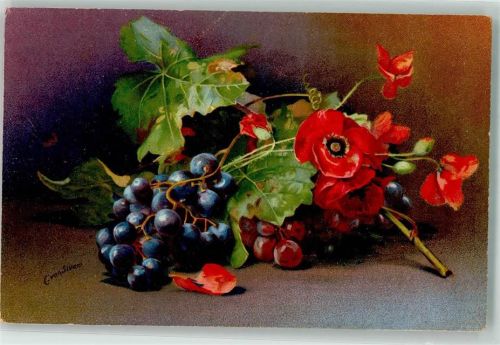 Trauben Mohnblume Wenau Delila Nr.955