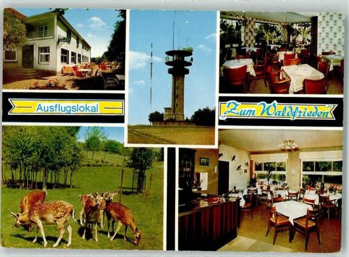 Havixbeck Gasthaus Zum Waldfrieden Wildgehege Longinusturm