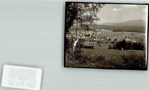 Riedlhütte Foto Original aus Archiv eines Ansichtskartenverlags Ort handschriftlich