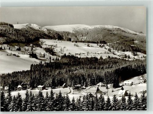 79868 W7828 Falkau Foto AK Feldberg Winter