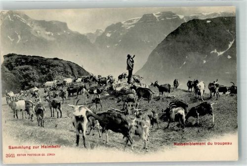 Ziegen Horn Sammlung zur Heimkehr Photoglob Nr.3911