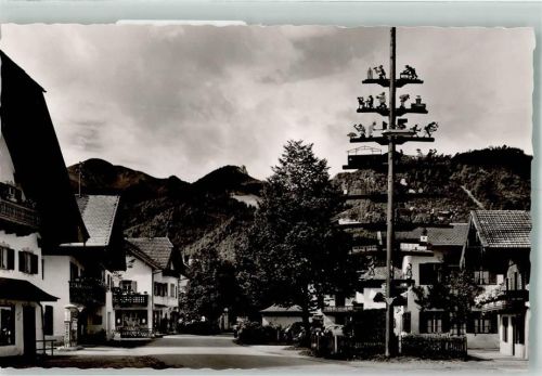 Grassau Maibaum