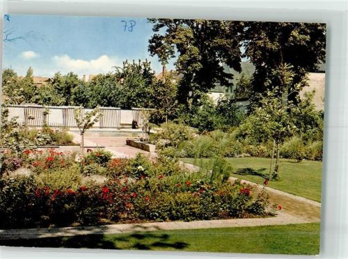 25709 W2222 Marne , Holst Foto AK Neuer Park