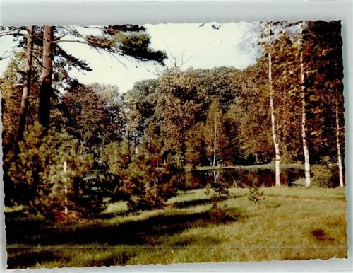 Schieder Kurpark mit Schwanenteich Foto Original aus Archiv eines Ansichtskartenverlags Ort handschriftlich