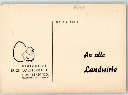 Höchstädt 1955 Brutanstalt Erich Löcherbach Drucksache