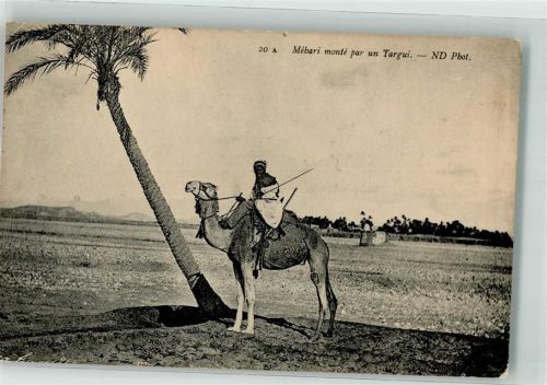 Biskra 1910 Tracht Kamel Ort lt. Stempel