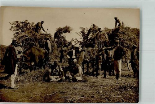 Prilep 1916 Pfeife Pferde Bauern Soldaten Heuernte