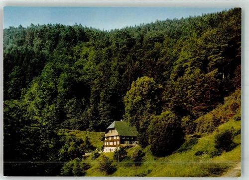 Wildgutach Ferienheim Mörderloch