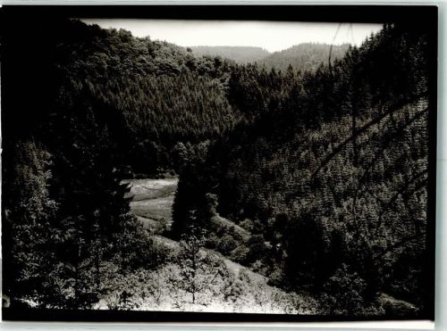 Feudingen Foto Original aus Archiv eines Ansichtskartenverlags Ort handschriftlich