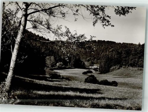 72401 W7452 Bad Imnau - Gasthaus Pension Waldblick