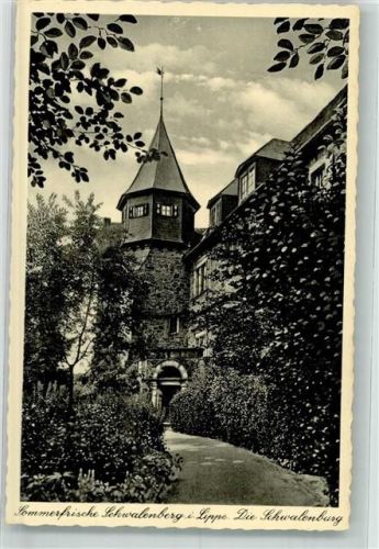 Schwalenberg Burg