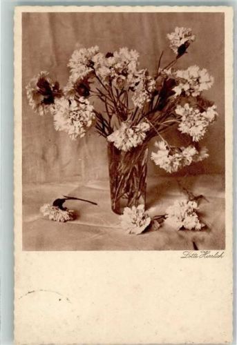 Nelken Blumen 3. Sammlung Serie 55 Verlag Waldemar Heldt