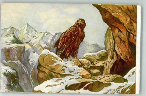 Adler sign. Rozmara