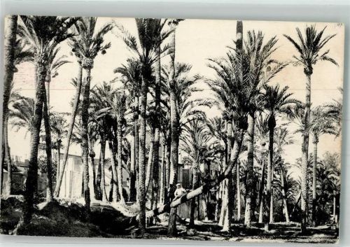 Elche 1930