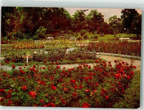 Sangerhausen Rosarium Ausstellung