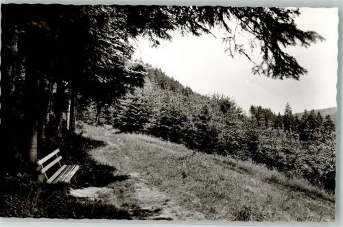 Dornhan Waldweg Braunhalde nach Zimmerwang