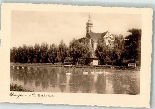Ehingen Krockensee Schwäne