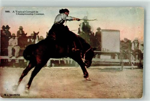 A Typical Cowgirl in Championship Contest