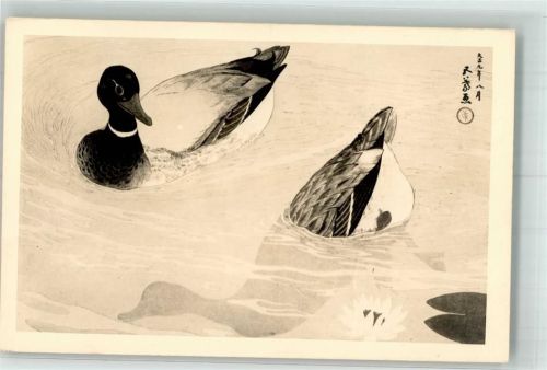 Enten