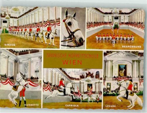 Wien Lipizzaner