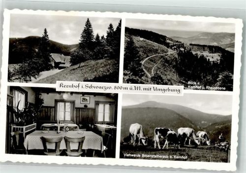 Seebach Berggasthaus Kernhof Fotograf Käshammer