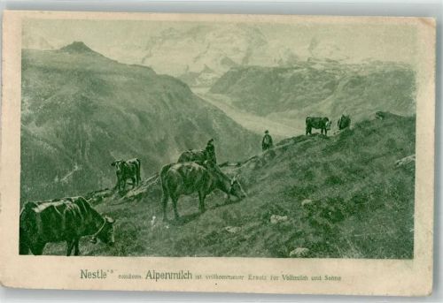 Nestle's Alpenmilch Weidende Rinder im Hochgebirge