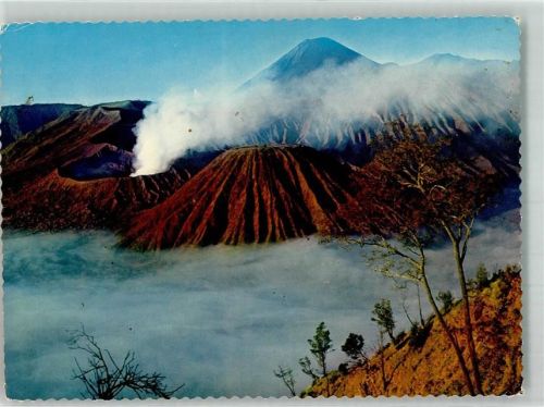 Der Gunung Bromo auf Jawa Timur in Indonesien
