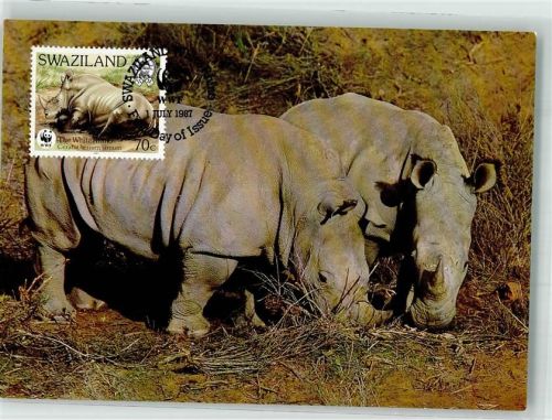 Breitmaulnashorn Sonderstempel Sondermarke WWF